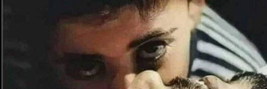 Zenitsu Panda 𐰯𐰣𐰆𐰀🔻 banner