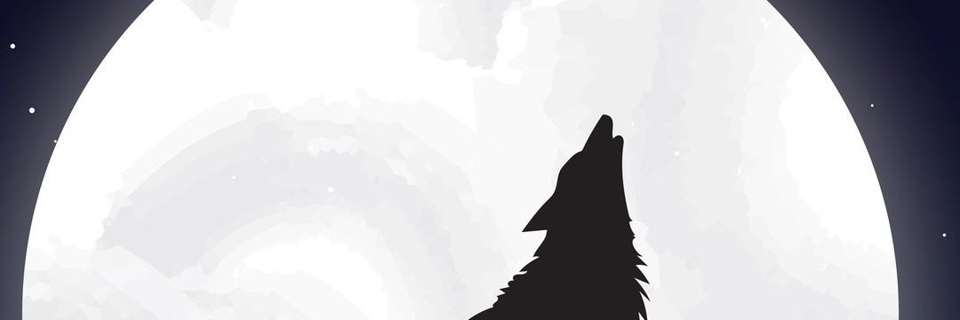 madeleinyuritza's profile banner image