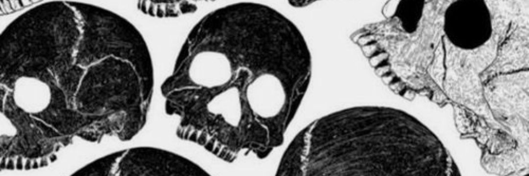tr1l_x3's profile banner image