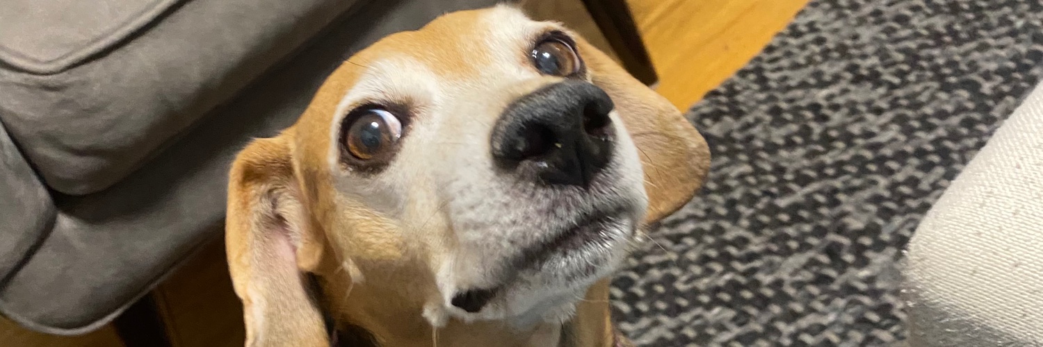 CraigMSpringer's profile banner image