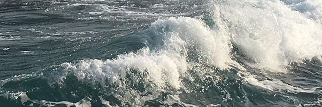 (💚) เจ้าทะเล🌊 banner