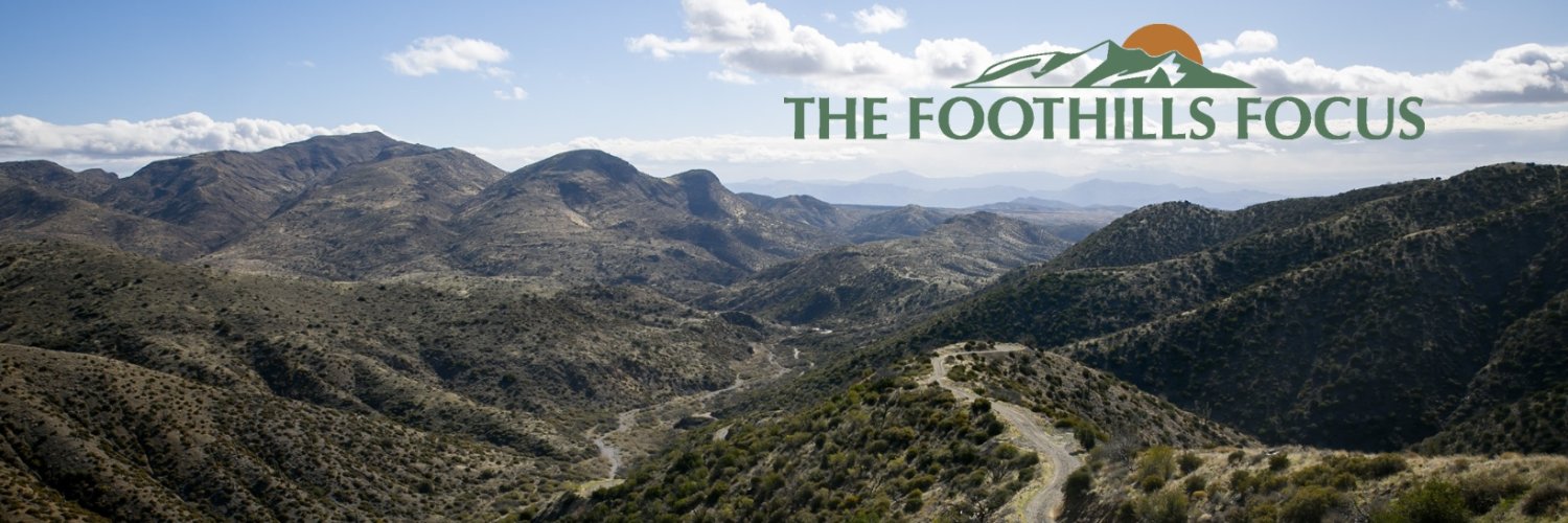 The Foothills Focus banner