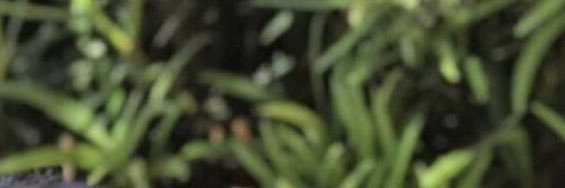 coleras's profile banner image