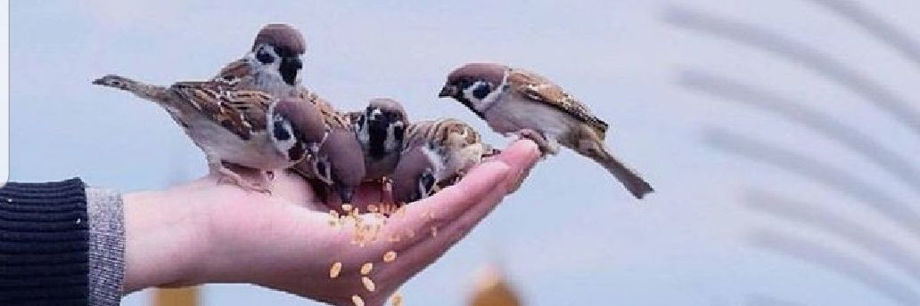 ABDUL BASIT KHAN banner