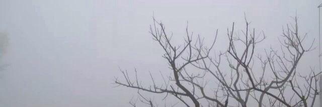 deadasian's profile banner image