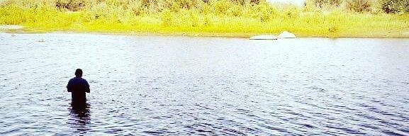 memocobain's profile banner image