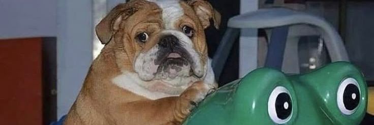 Riku_te_seduse banner