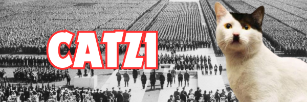 CATZI banner