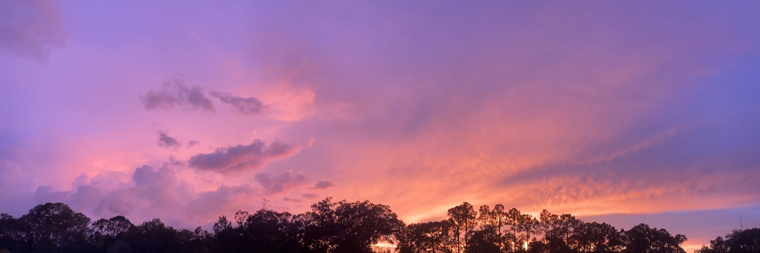MaddieSurat's profile banner image