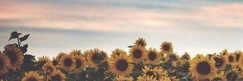 3x Мери 👑 banner