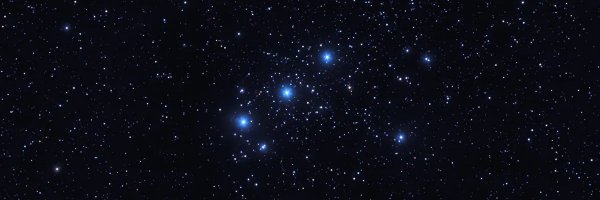 mccaul_paddy Profile Banner