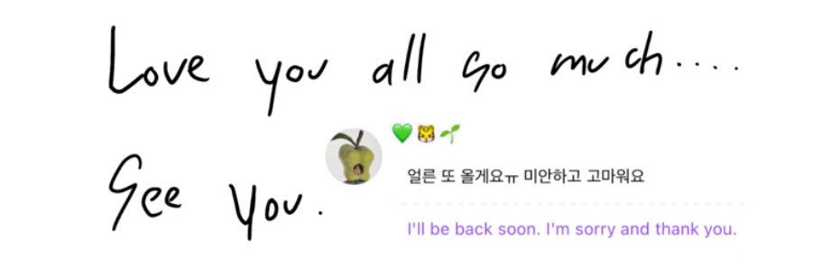 vannniiii🖇 banner