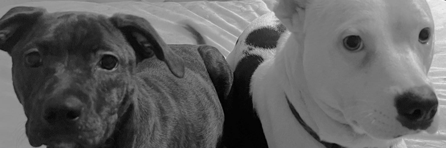 turner0515's profile banner image
