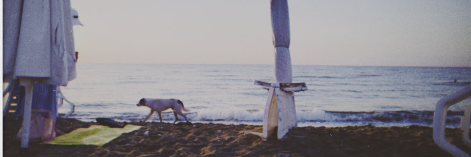 buse🌿 banner