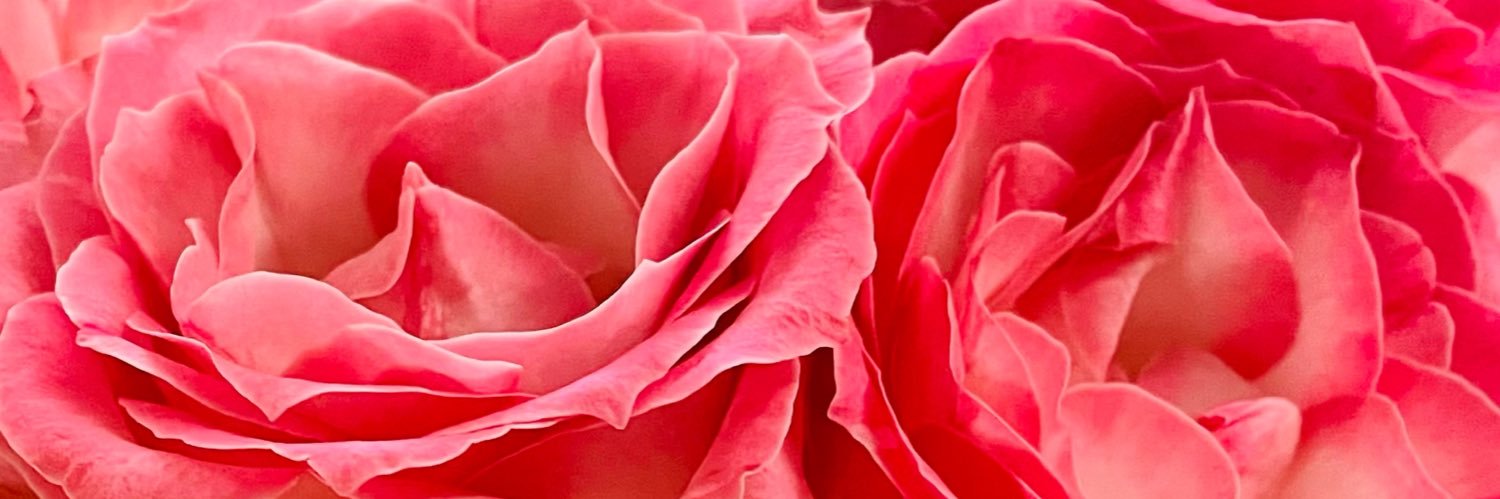 Elisa Ma banner