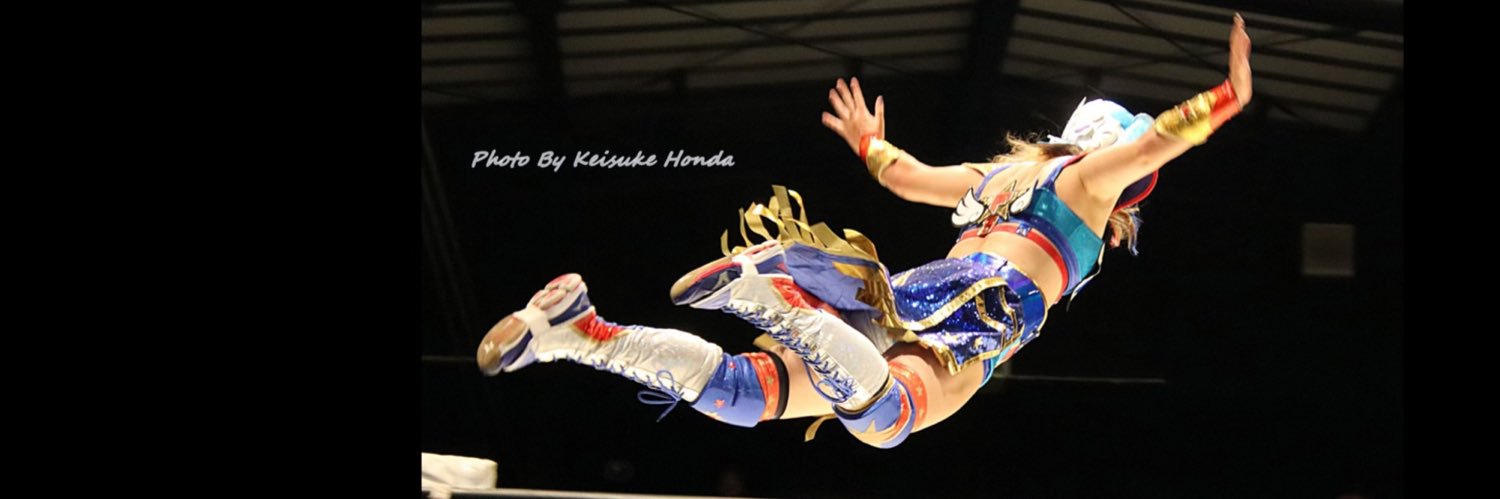 フライング・ペンギン banner