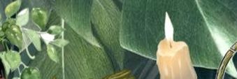 Alexia Katherine Verstappen banner
