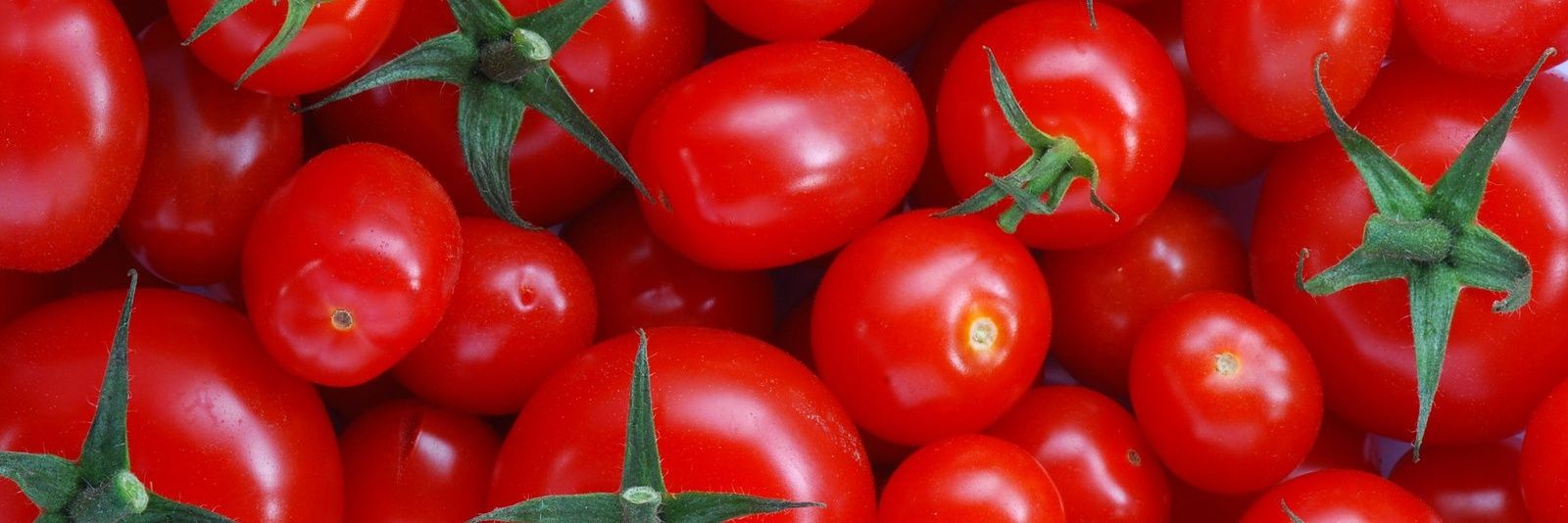 Killah Tomato Culture banner