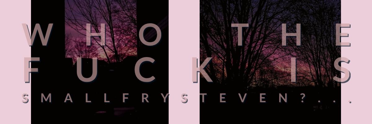 SmallFrySteven 🤙 banner