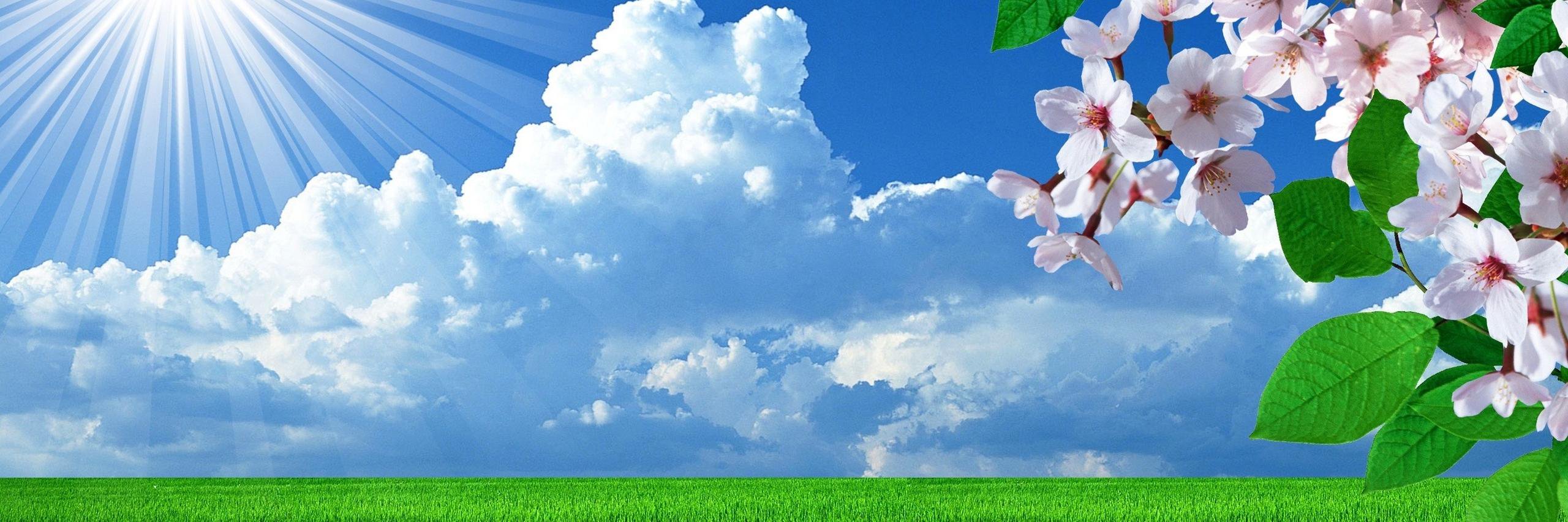 Вовка Васильев banner