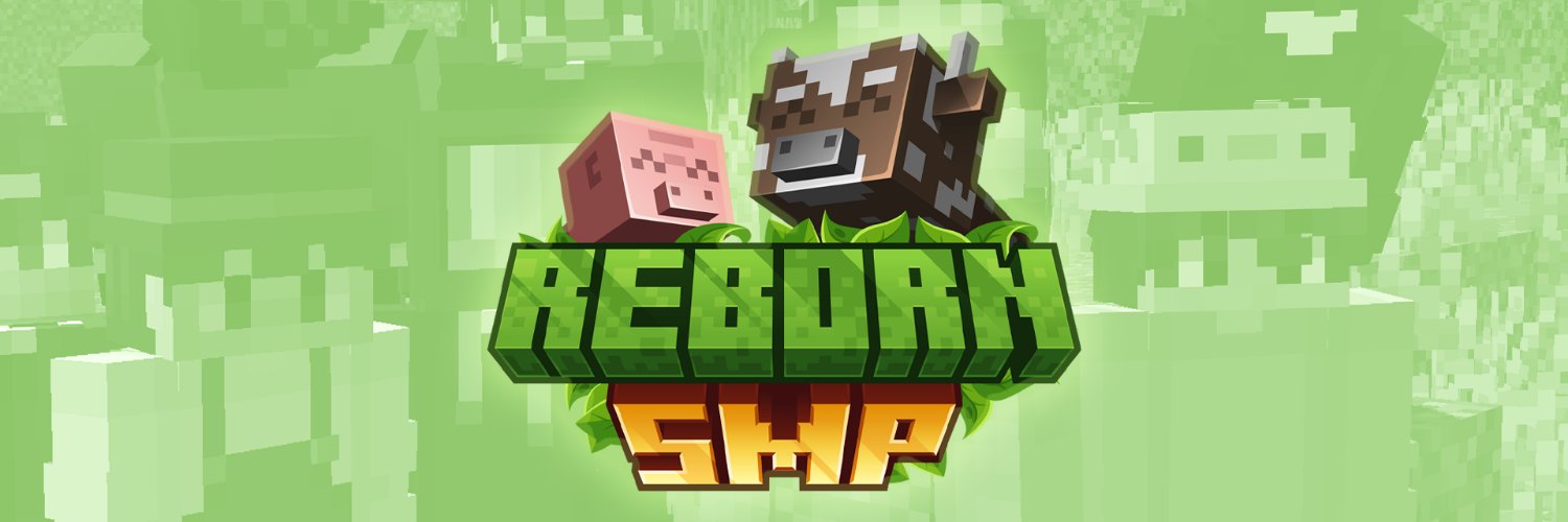 Reborn SMP banner