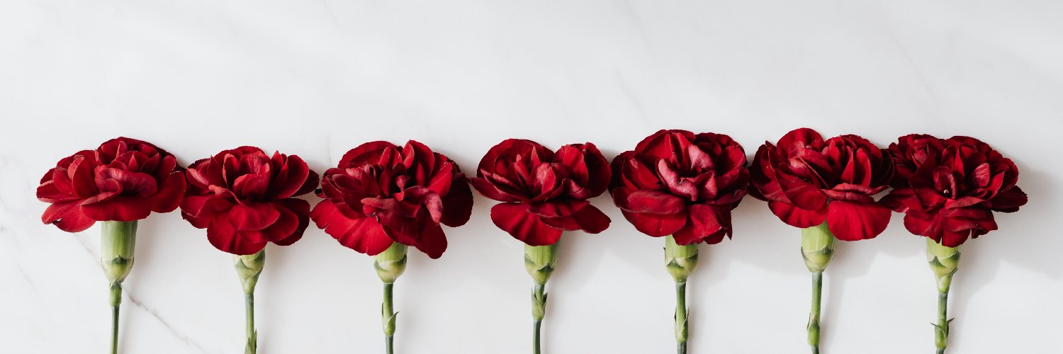 Alishey16's profile banner image