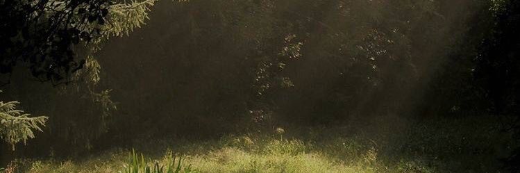 artemisedd's profile banner image
