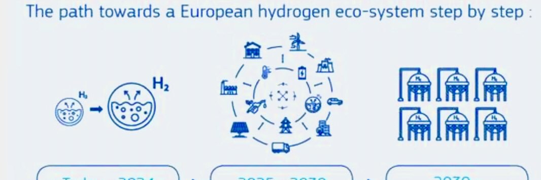 Catherine Sheridan banner