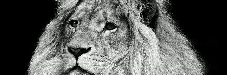 hendshebl1's profile banner image