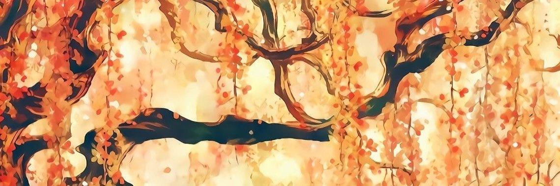 pepeLacy's profile banner image