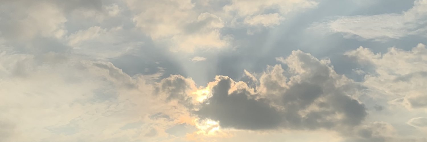 SimoneH38433888's profile banner image