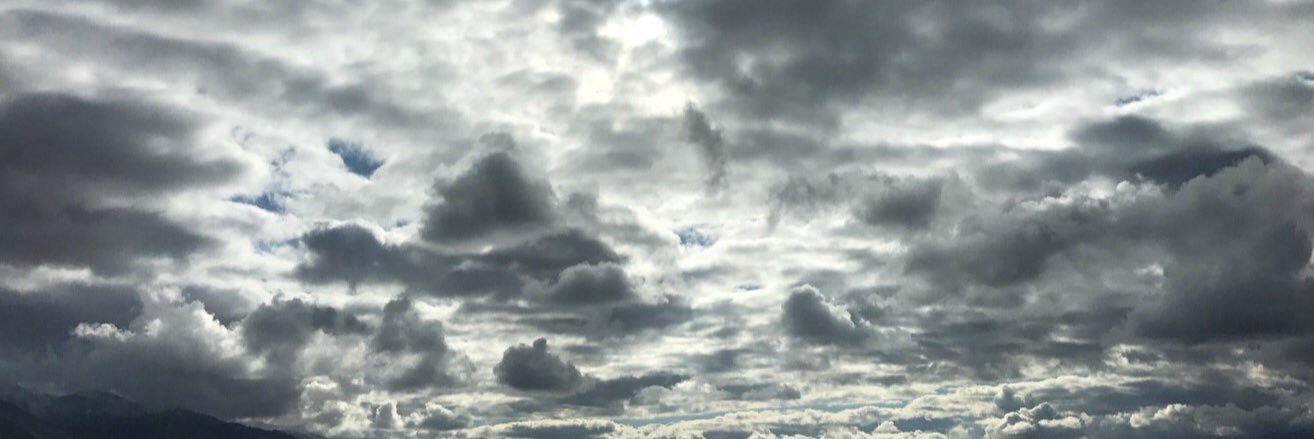 taycronquist's profile banner image