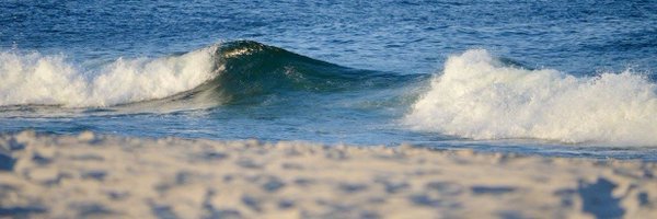 srslymegan Profile Banner