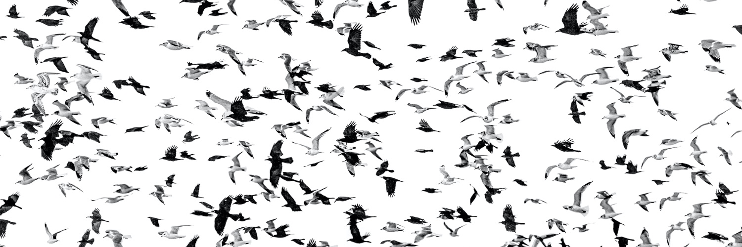Heggie's profile banner image
