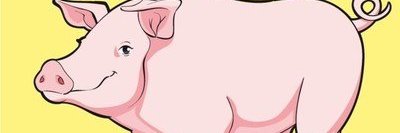 66-77.bnb banner