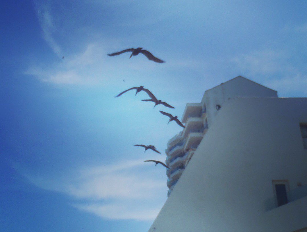 SETRAY21 banner