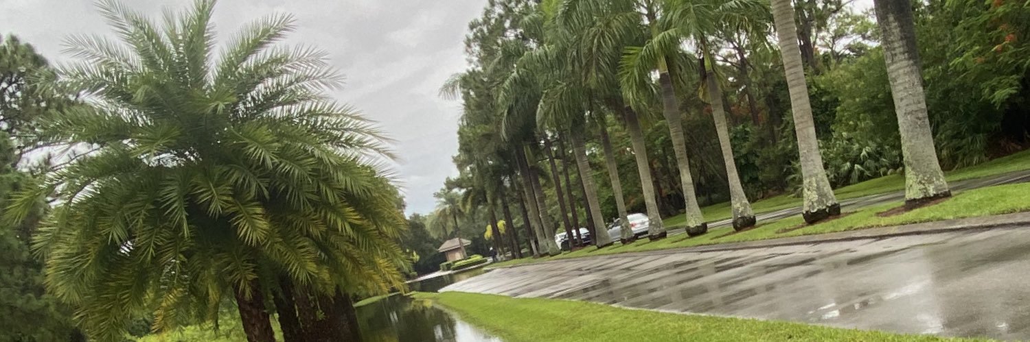 ISEgator's profile banner image