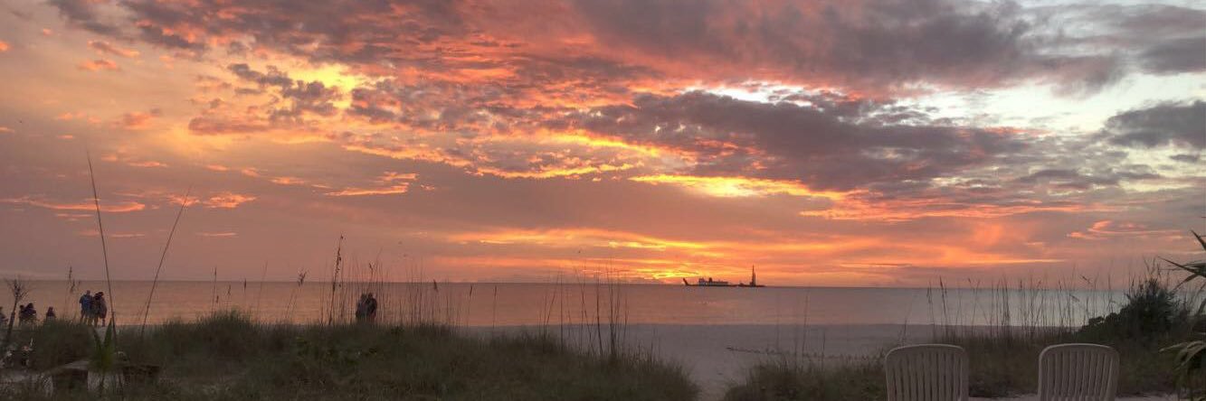 Sydney O'Shea banner