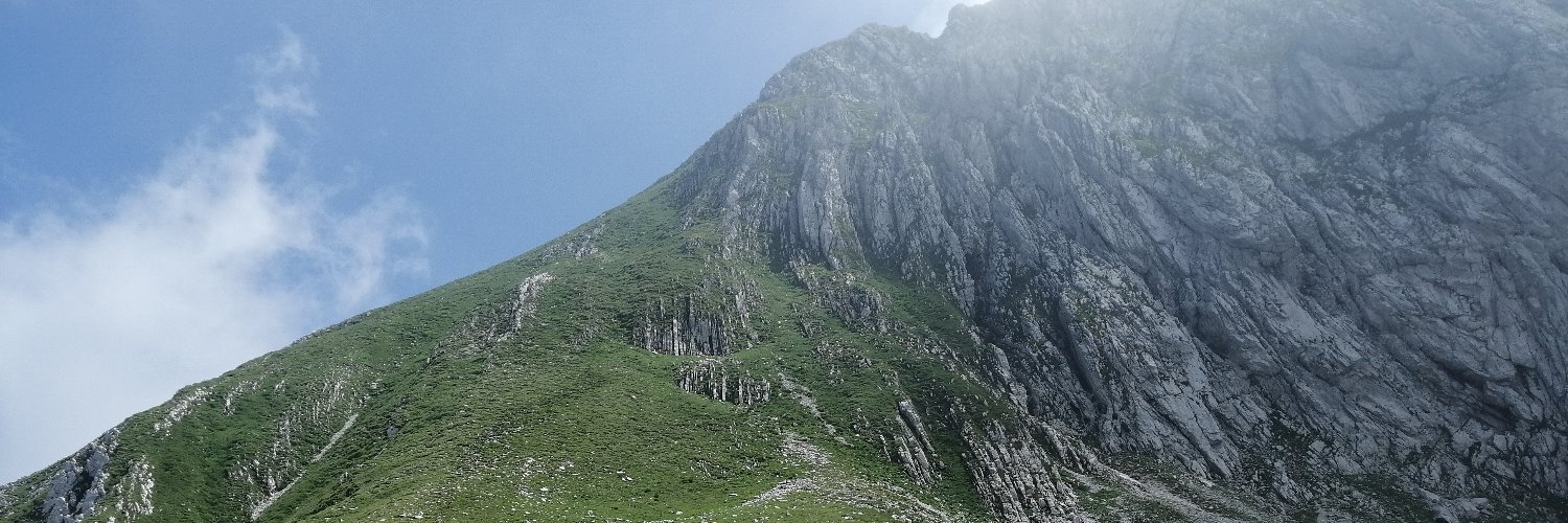 Johannes Rodenbach banner