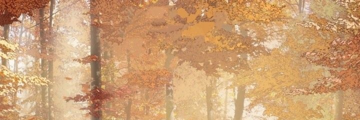 jaz VA A VER A BTS 😭 banner