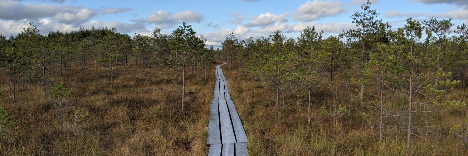 German Bidzilja banner