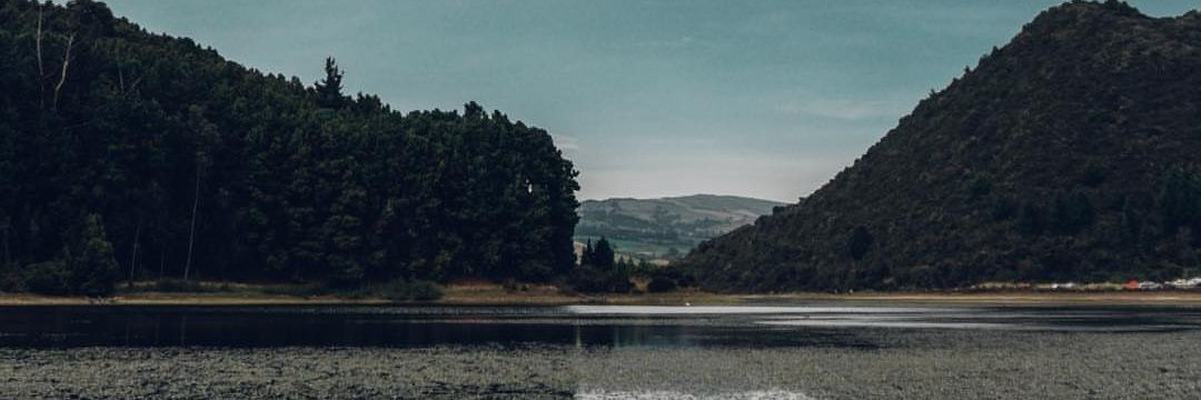 LuyFernandaPine's profile banner image