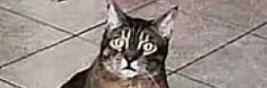 bertweyrich's profile banner image