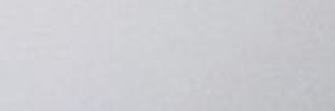 rocio banner