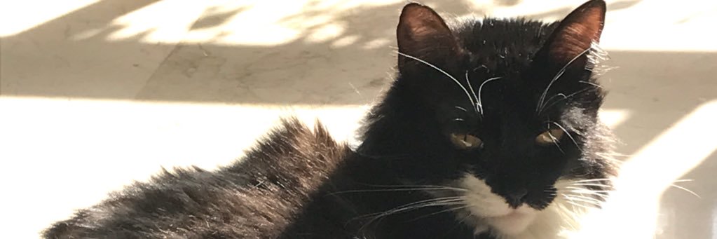 luisamangel92's profile banner image