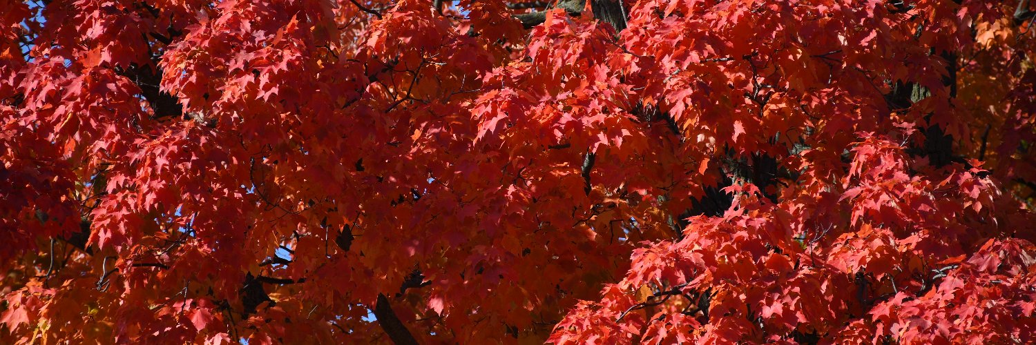 WhitbyKravitz banner