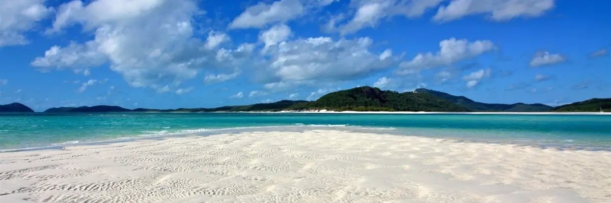 Barton8761's profile banner image