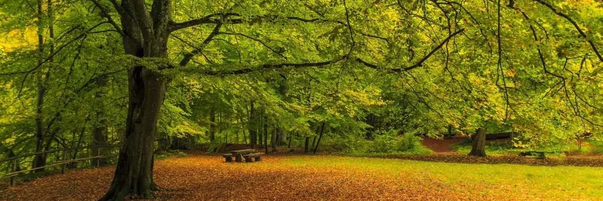 Basil14805315's profile banner image