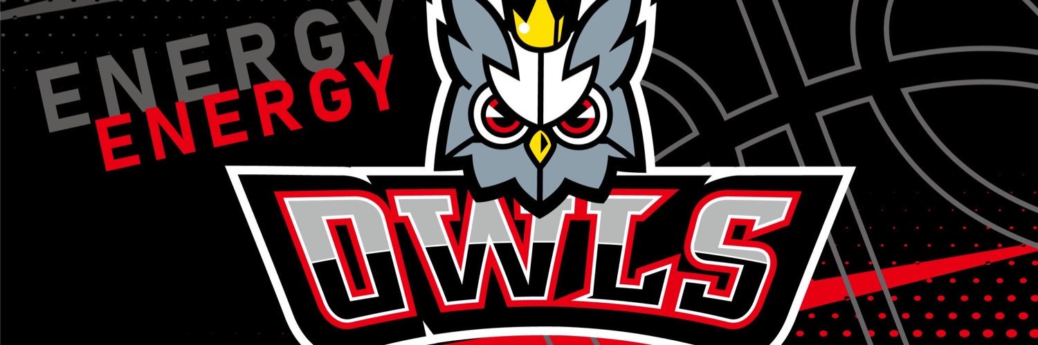 OWLS banner