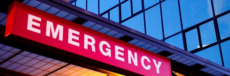 Iris Rosello Gonzalez, M.D. banner